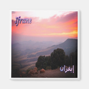 zMA009 IFRANE, Landscape, Morocco, Africa, Fridge Magnet
