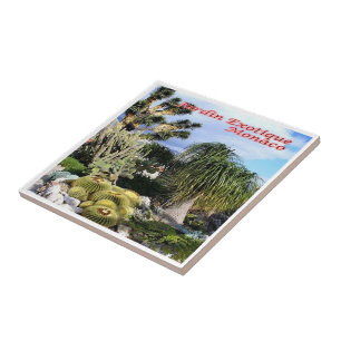 zMC047 EXOTIC GARDEN, Monaco, Tile