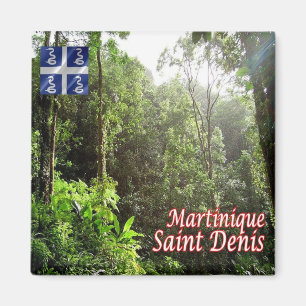 zMQ008 SAINT DENIS, Rainforest, Martinique, Fridge Magnet