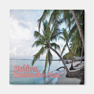 zMV007 HANIMAADHOO, HAA DHAALU ATOLL, Maldives, Magnet