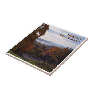 zNO090 OSLOFJORD seen from Holmenkollen, Norway, Tile