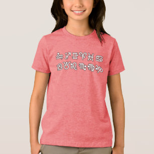 Zodiac All Signs Tri-Blend Shirt