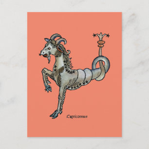 Zodiac: Capricorn, 1482 Postcard