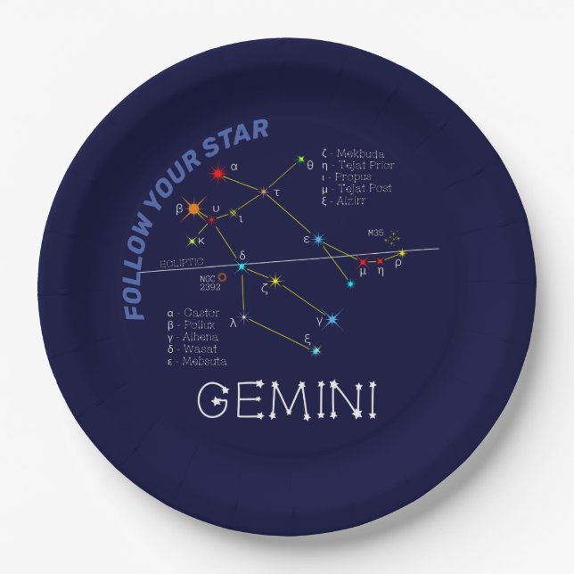 Zodiac Constellation Gemini Paper Plate (Front)