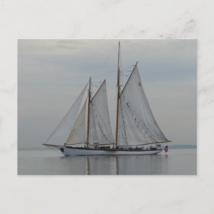 Zodiac Postcard