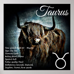 Zodiac Sign Bull Symbol Taurus Astrology Poster