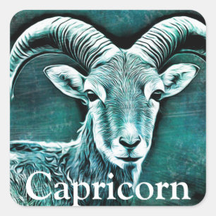 Zodiac Sign Capricorn Goat Symbol and Horoscope Square Sticker