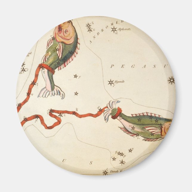 "Zodiac Sign: Pisces" magnets (Front)