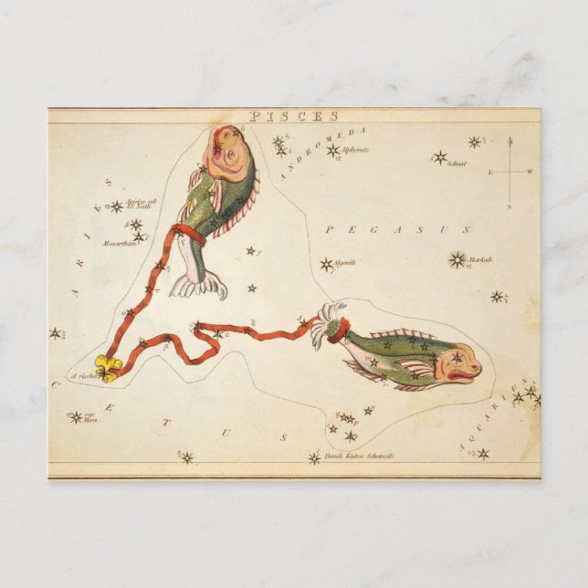"Zodiac Sign: Pisces" postcard (Front)