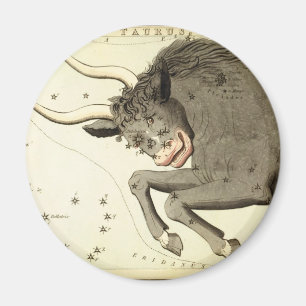 Zodiac Sign: Taurus magnets