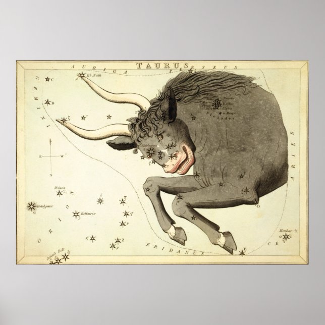 "Zodiac Sign: Taurus" poster/print Poster (Front)