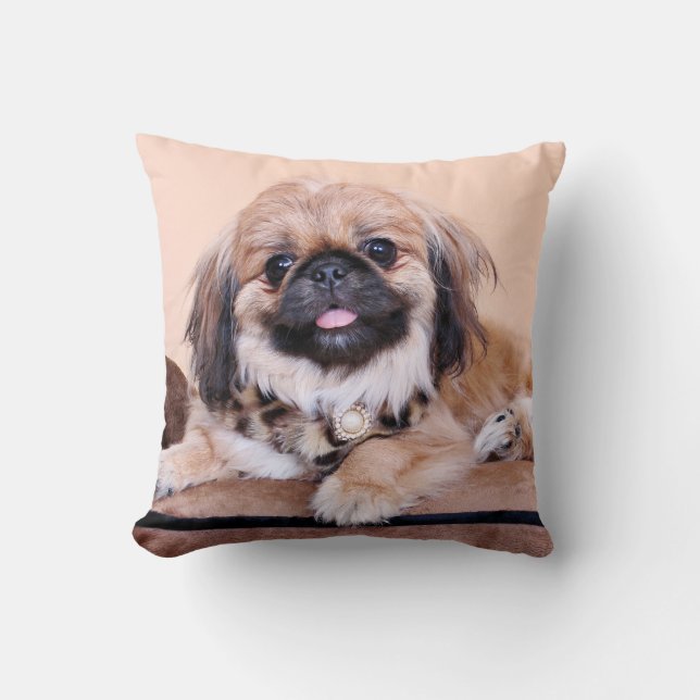 Zoe - Pekingese Cushion (Front)