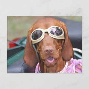 Zoe Ready to Ride Postcard