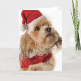 ZOE SANTA HOLIDAY CARD