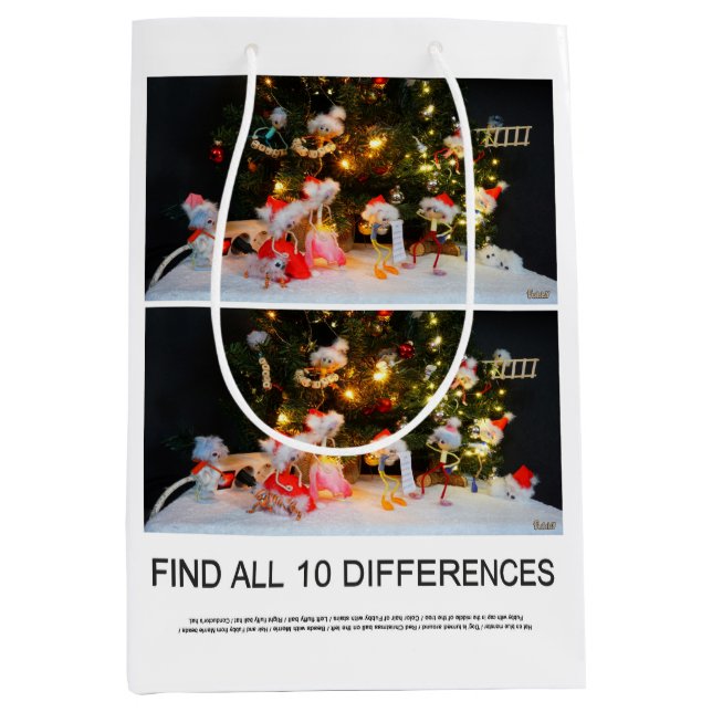 Zoek de 10 verschillen zoekplaatje van de Fubby's. Medium Gift Bag (Front)