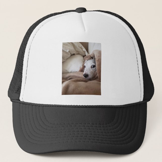 Zoe's Friend Yoda Jack Russell Terrier Trucker Hat (Front)