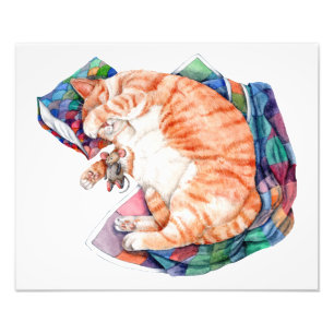 Zoe's Winter Nap Photo Print