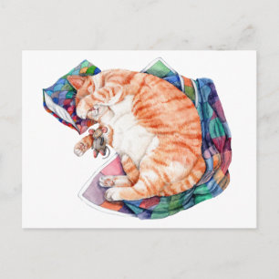 Zoe's Winter Nap Postcard