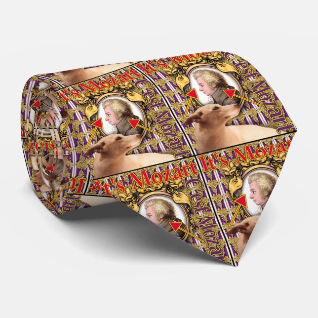 ZoeSPEAK - Mozart Tie (Rolled)