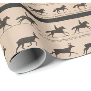 Zoetrope antique animal animation illustration wrapping paper