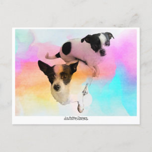 Zoey & Gracie Disco Blank Postcard! Postcard
