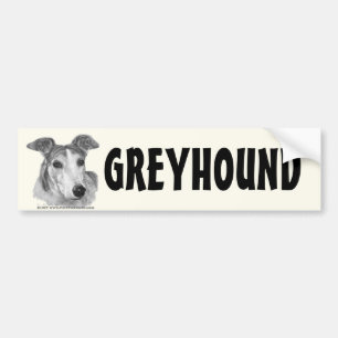 Zoie, Greyhound Bumper Sticker