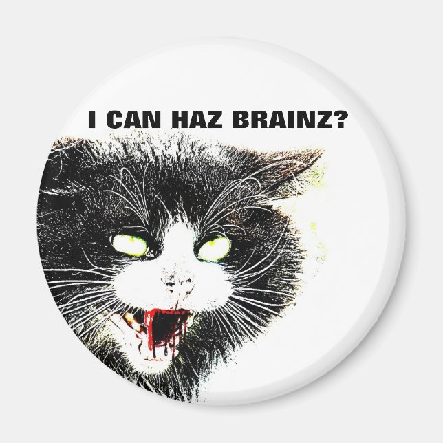 Zombie Cat I Can Haz Brainz Magnet (Front)