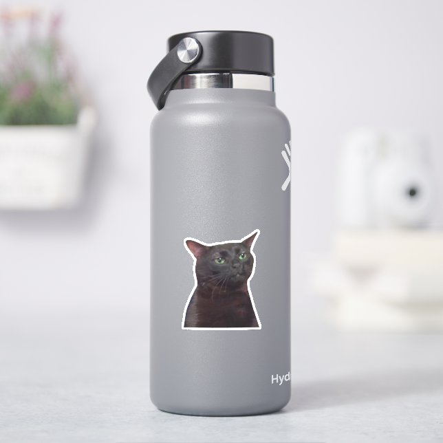 Zoned Out Cat, Black Cat Zoned Out Meme (HydroFlask)
