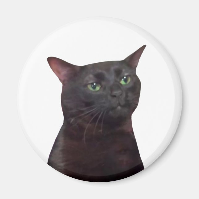 Zoned Out Cat Meme Magnet (Front)