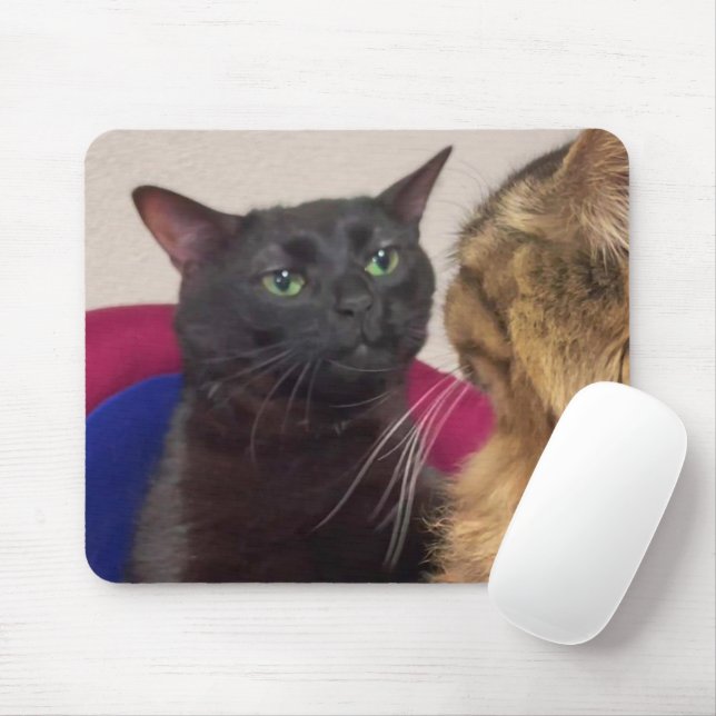 Zoned Out Cat Meme Mouse Pad (With Mouse)