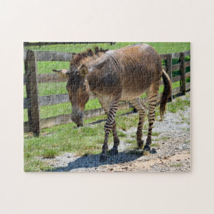 Zonkey part zebra and donkey jigsaw puzzle