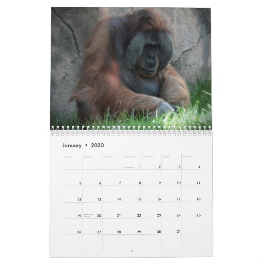 Zoo Animal Fun Calendar Zazzle.co.uk