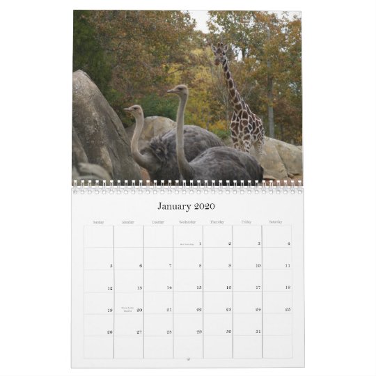 Zoo Animals Calendar Zazzle.co.uk