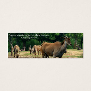 Zoo animals. Chinese proverb about peace in family