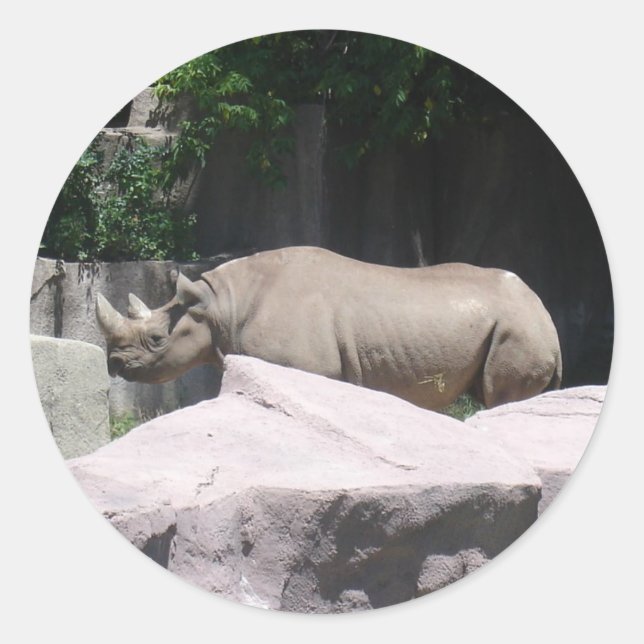 Zoo Animals Classic Round Sticker (Front)