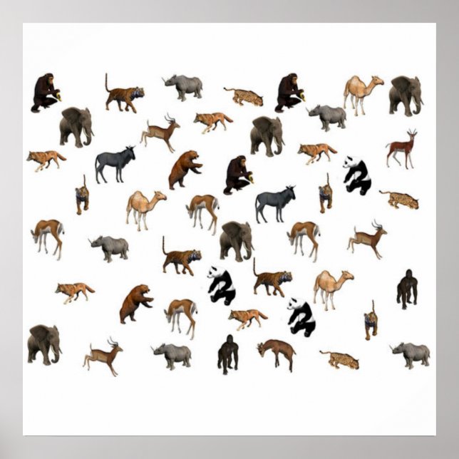 Zoo Animals Poster (Front)