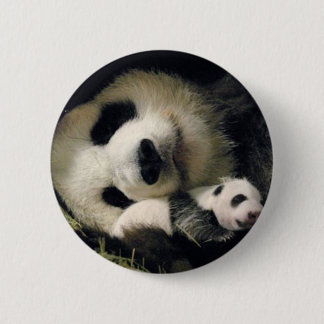 zoo-atlanta_giant_panda_lun-lun_and_cub 6 cm round badge
