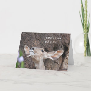 zoo cards, birthday, i promise i won't tell a soul card