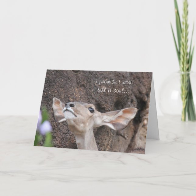 zoo cards, birthday, i promise i won't tell a soul card (Front)