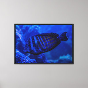 Zoo & Farm Park Animals Stretched Canvas Print