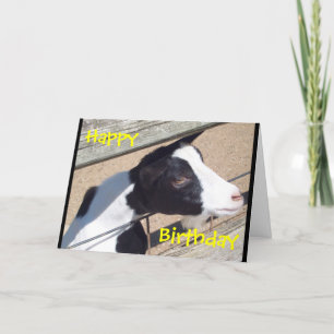 "Zoo Goat" Birthday Card