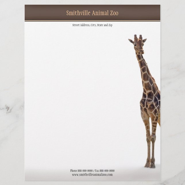 Zoo Letterhead (Front)