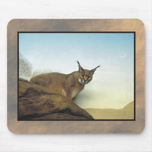 zoo lynx 2 mouse mat (Front)