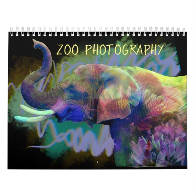 Zoo Photography Calendar (Cover)