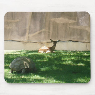 zoo pictures mouse mat
