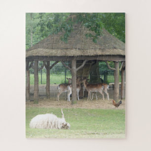 Zoo Puzzle: Animals in Deerpark Jigsaw Puzzle