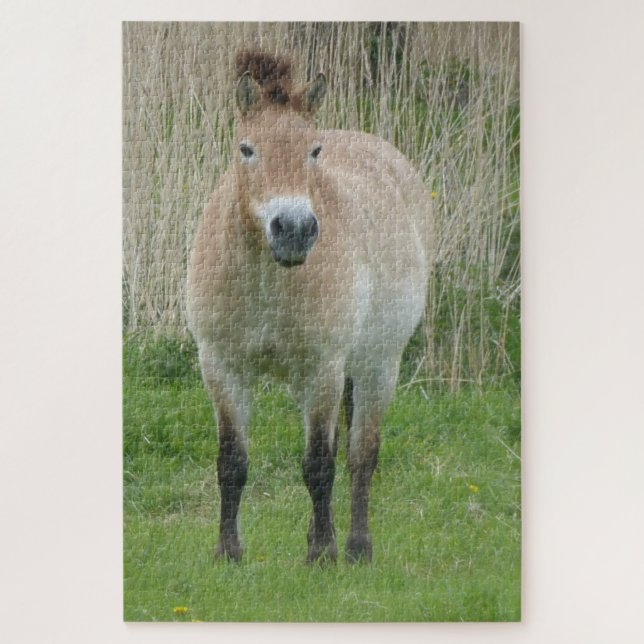 Zoo Puzzle: Cute Przewalski Horse Jigsaw Puzzle (Vertical)