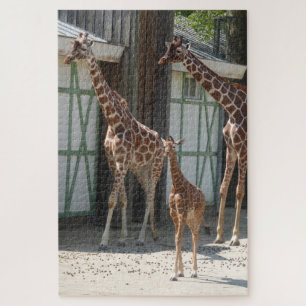 Zoo Puzzle: Giraffes with Baby Jigsaw Puzzle