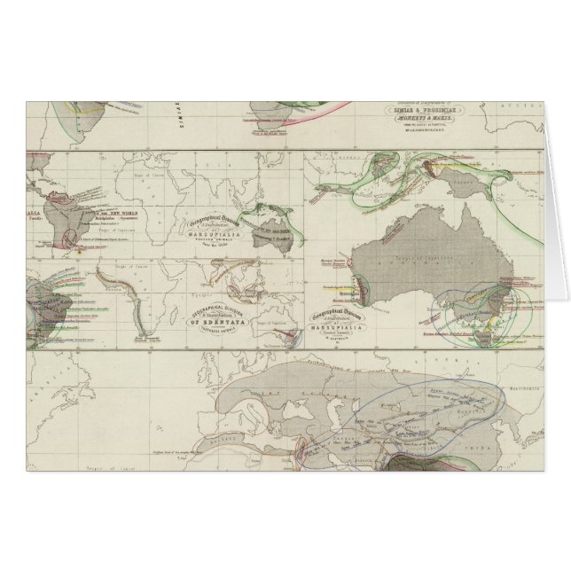 Zoological geography (Front Horizontal)