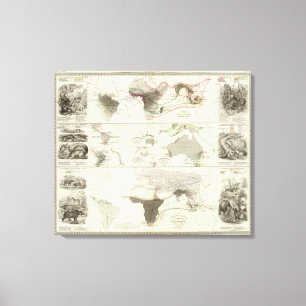 Zoological geography canvas print